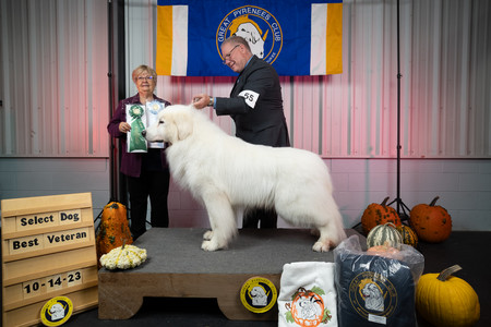 DSCF1357.jpg